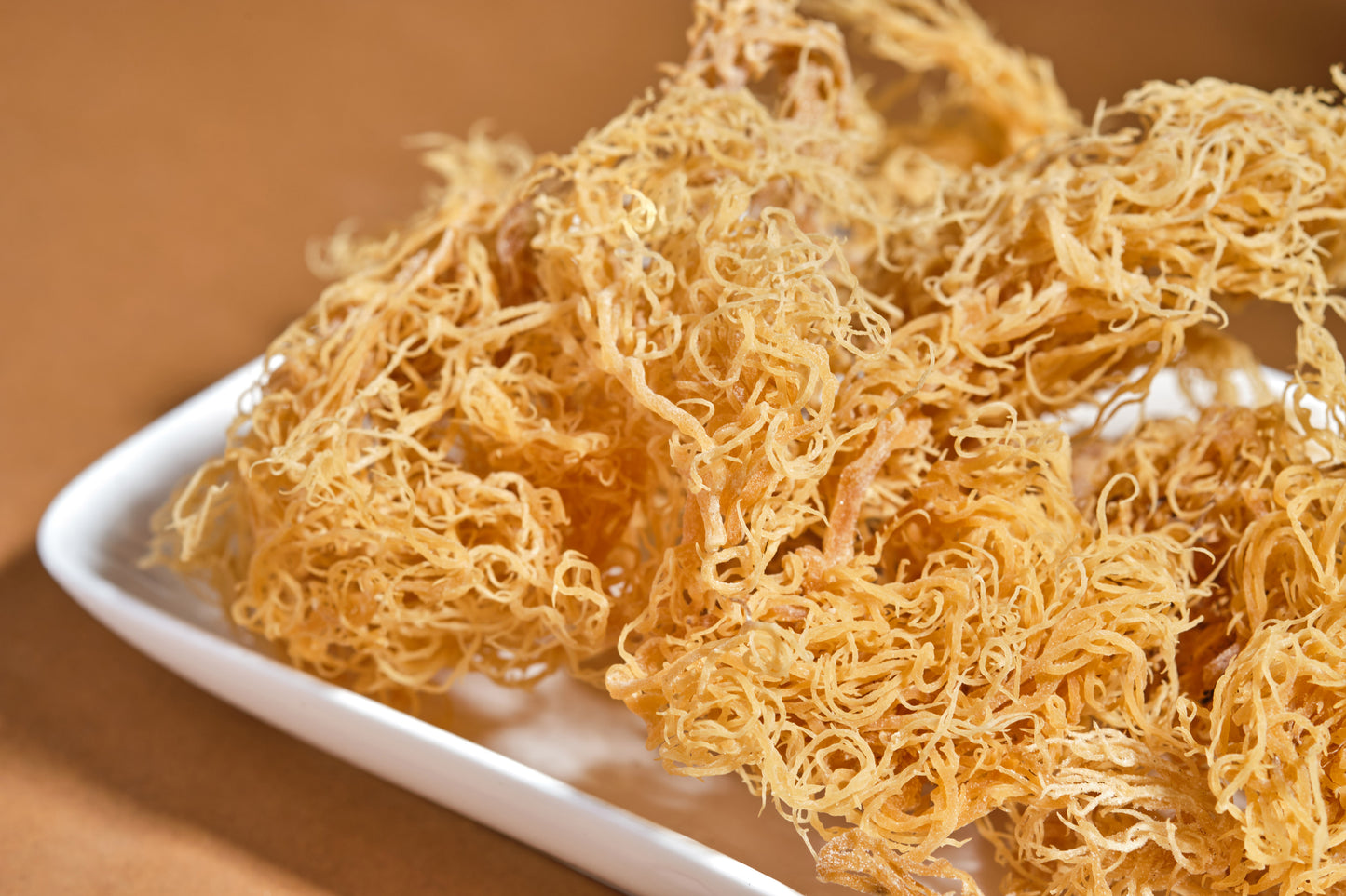 Irish Sea moss - Akeem Pierre