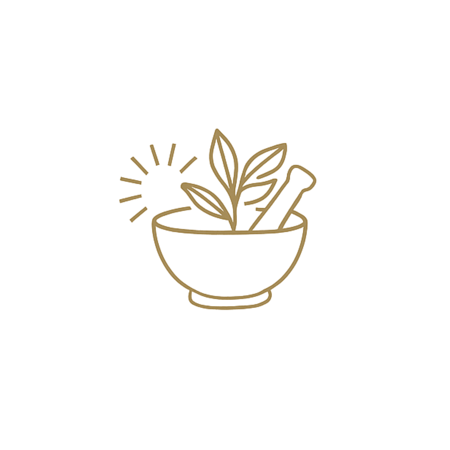 Illustration of a plant in a pot on a green background