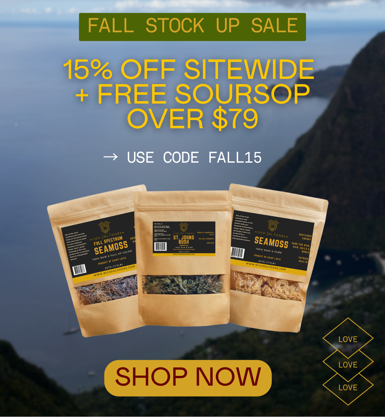 Promotional graphic for Rich Sol Foods featuring three stand-up pouches of seaweed products displayed over a coastal mountain-and-sea background. Large text advertises a fall stock up sale, 15% off sitewide, free soupsop over $79, and a fall15 code.