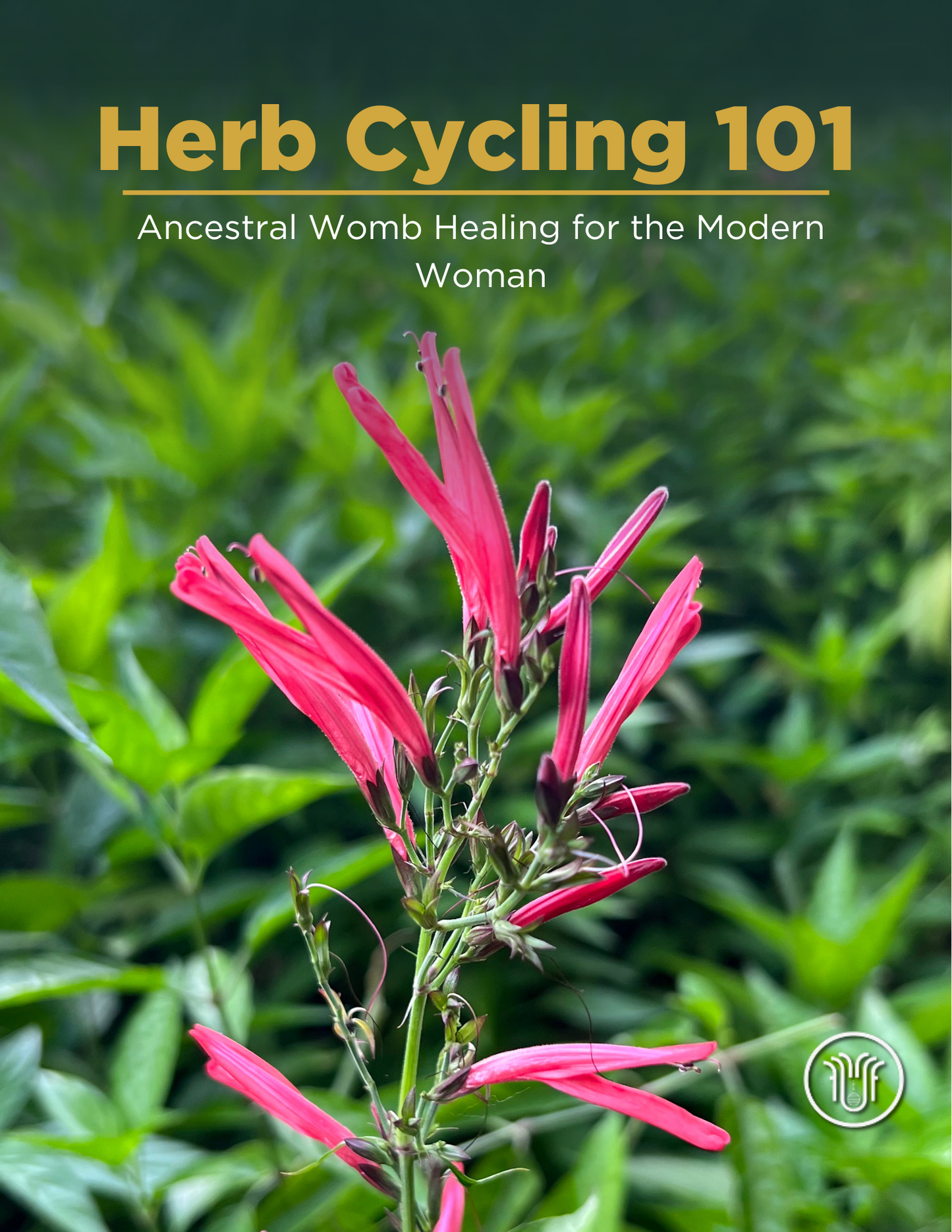 Herb Cycling 101 - Free E-book