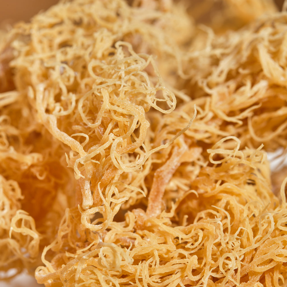 
                  
                    Irish Sea moss - Akeem Pierre
                  
                